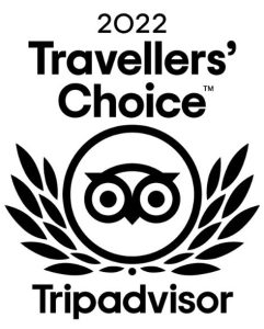 Traveller 2022